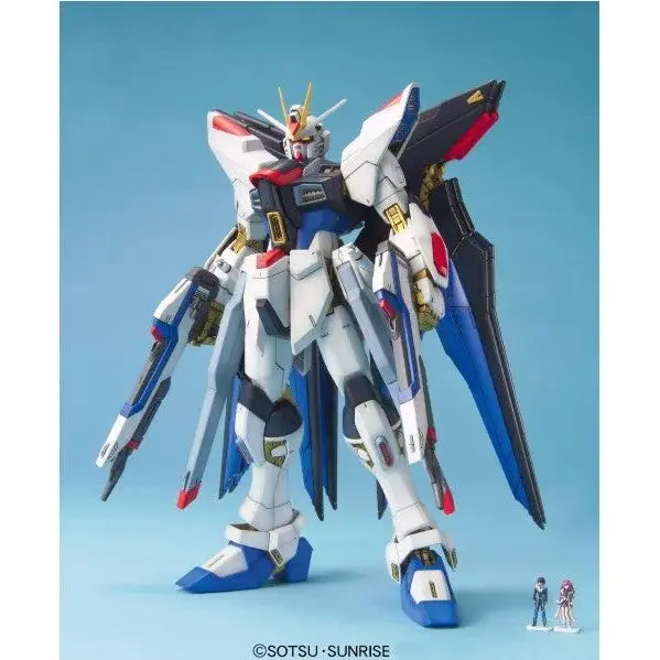 1/100 MG GUNDAM"SEED"DEST