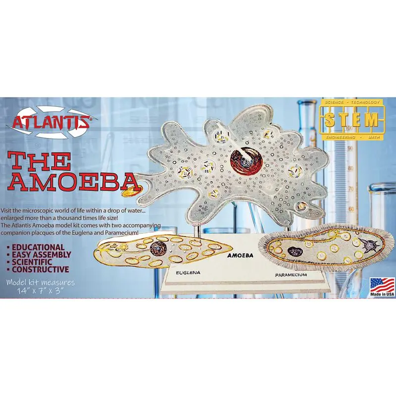 AMOEBA SNG CELL KIT STEM
