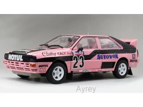 Audi Quattro A1 No.23 Rallycross EM Frankreich 1987 C.Caly 1
