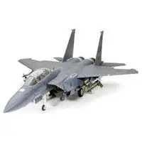Boeing / McDonnell Douglas F-15E Strike Eagle w/ Bunker BusterScale