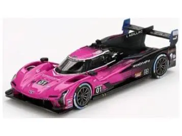 Cadillac V-SERIES.R #01 Cadillac Racing 2024 IMSA Petit Le Mans 1
