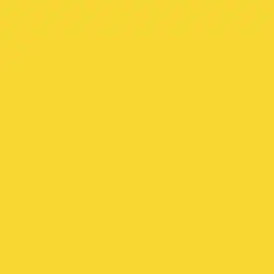 FEC YELLOW 1 OZ