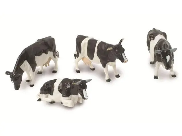 Friesian Cattle 1