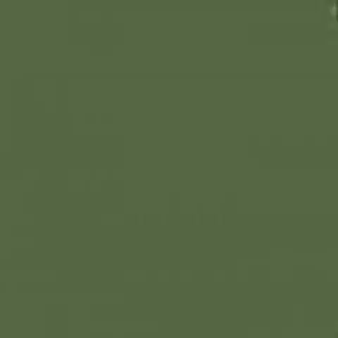 Mission Model Paints MMP029 Russian Dark Olive2 34096