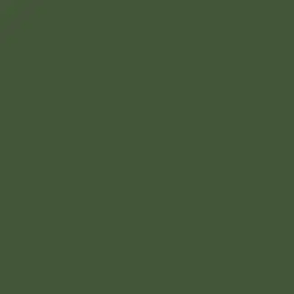 Mission Model Paints MMP077 Raf Dark Green