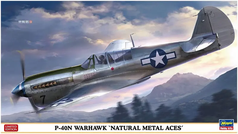 P-40N WARHAWK NATURAL METAL ACES KIT 1