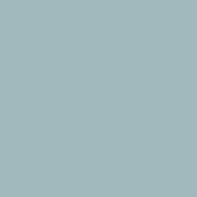 Tru-Color 5-L LIGHT GRAY 1 OZ