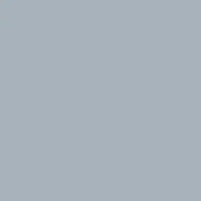 Tru-Color 5-P PALE GRAY