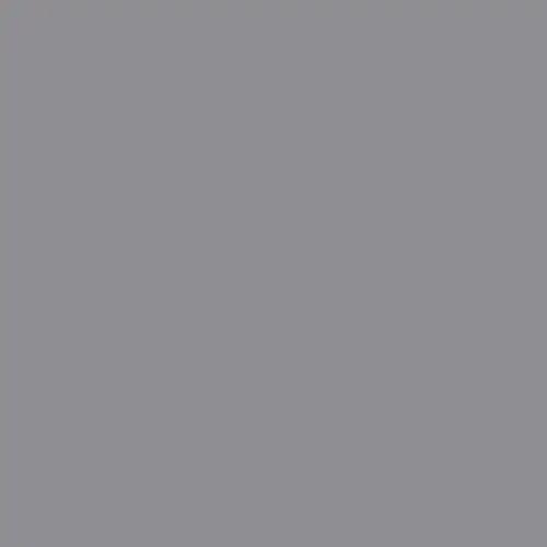 Tru-Color BRIGHT SILVER 10Z