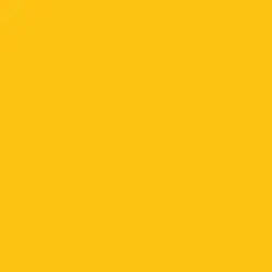 Tru-Color CHESSIE YELLOW 1 OZ