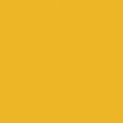 Tru-Color CHROME YELLOW 1OZ