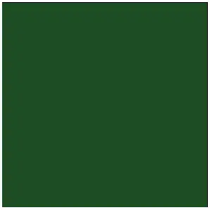 Tru-Color CP RAIL ACTION GREEN 1OZ