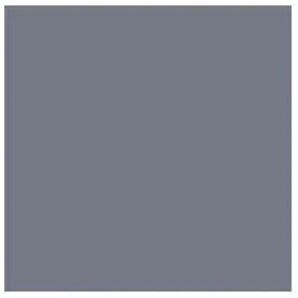 Tru-Color CSX Y2K GRAY
