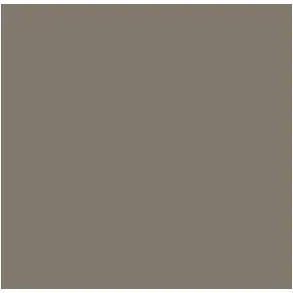 Tru-Color D&H GRAY 1OZ