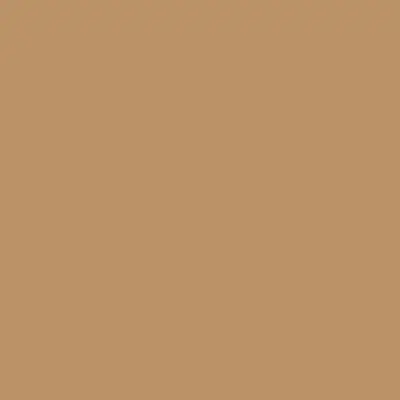 Tru-Color FED STD 30219 TAN 1 OZ
