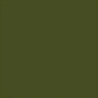 Tru-Color FED STD 34079 FOREST GRN