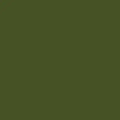 Tru-Color FED STD 34102 LT GRN 1 OZ