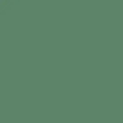 Tru-Color FS GUNSHIP GREEN 1 OZ