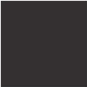 Tru-Color GRAPHITE 1 OZ