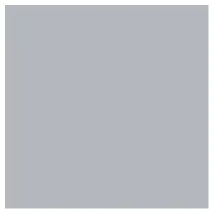 Tru-Color LONG ISLAND GRAY 1OZ