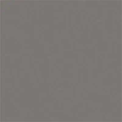 Tru-Color MATTE STEEL 1 OZ