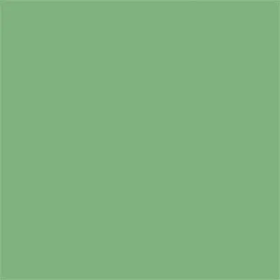 Tru-Color MINT GREEN STUCCO MATTE