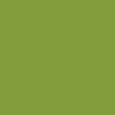Tru-Color NITRO YELLOW GREEN