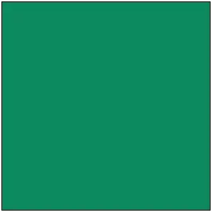Tru-Color NYC JADE GREEN 1OZ