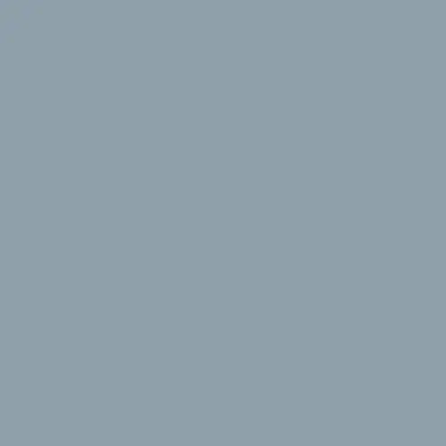 Tru-Color PALE GREY RN