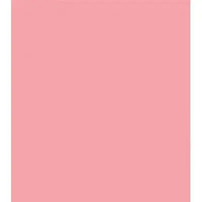 Tru-Color SALMON PINK MATTE EXT WAL