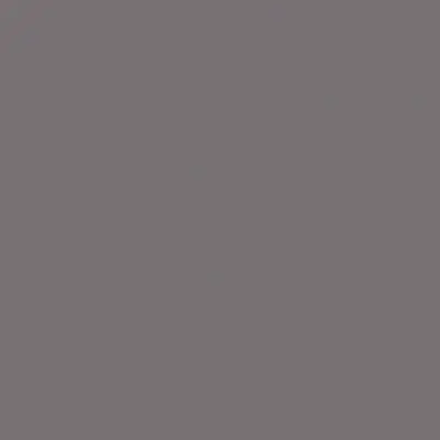 Tru-Color SF TARPAN GRAY