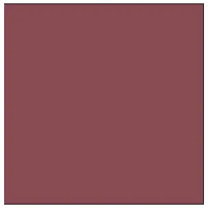 Tru-Color SOO FRGT CAR BROWN 1OZ